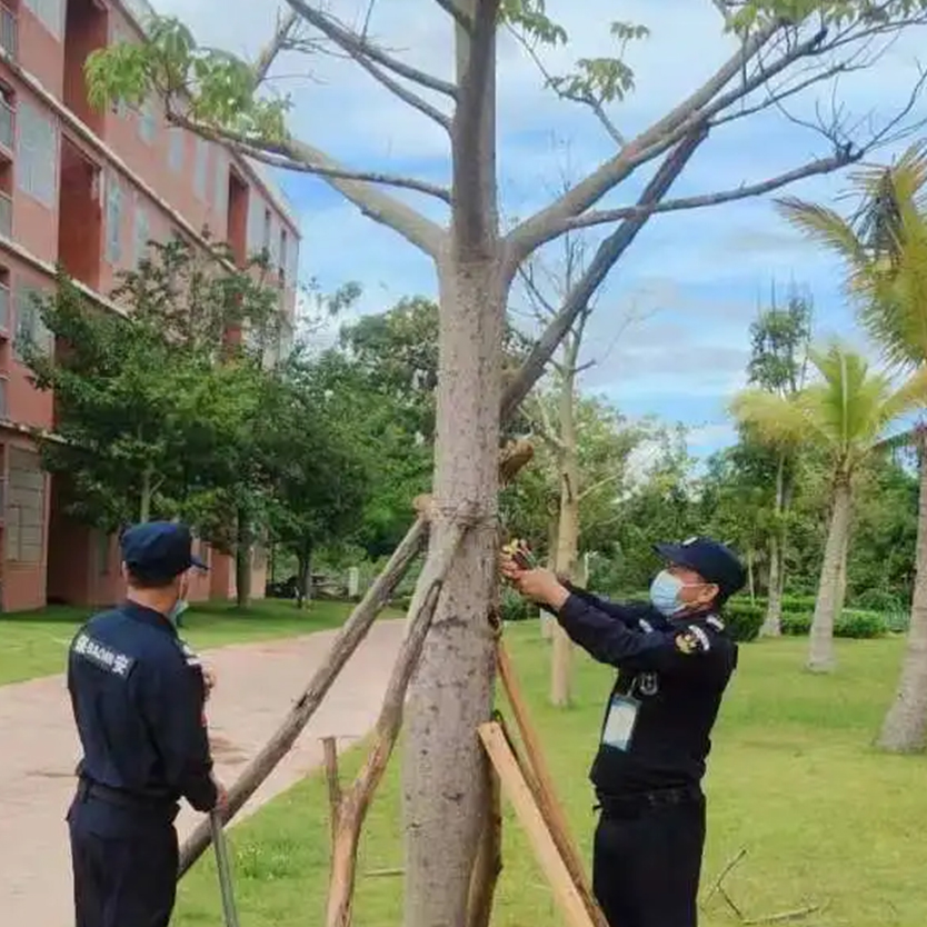聞“風(fēng)”而動(dòng)，全力以“復(fù)” | 災(zāi)后重建，百雀人在行動(dòng)